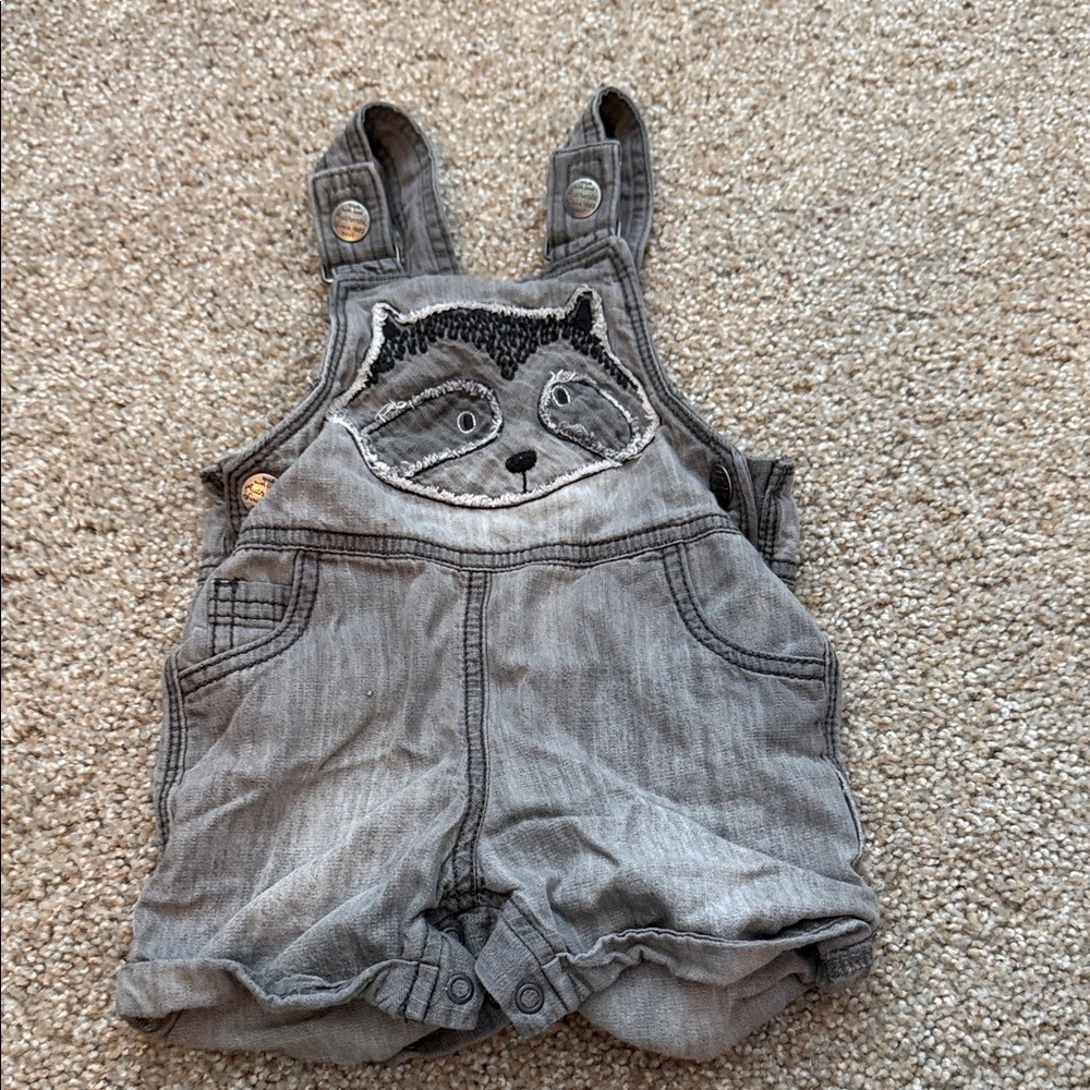Gray Raccoon Kids Overalls